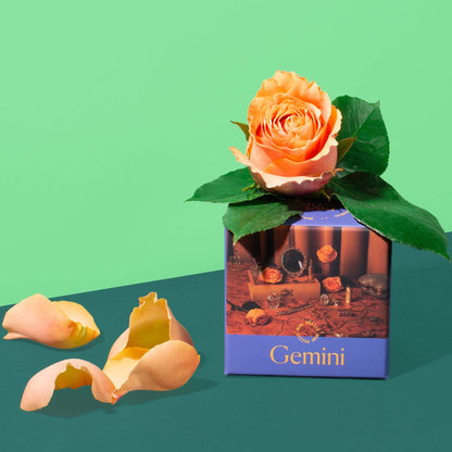 Astrology Mini Puzzles